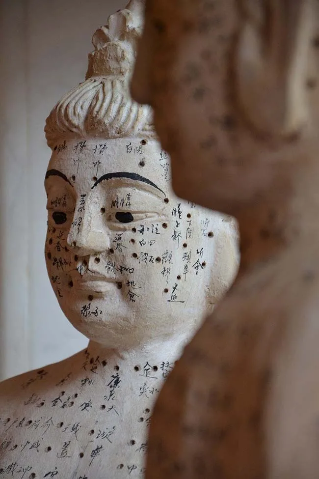 Face reading — Daoist diagnostic art